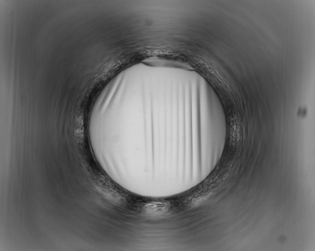 X0000099560700200806061540