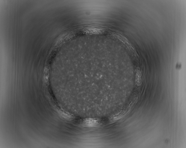 X0000099560701200806061540