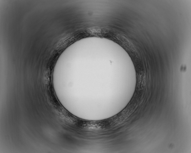 X0000099560702200806061540