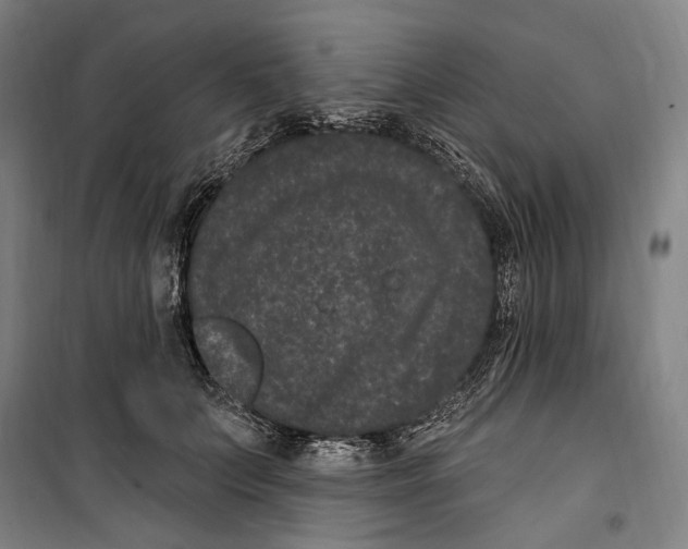 X0000099560703200806061540