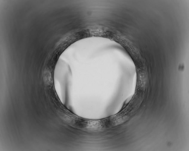 X0000099560705200806061540