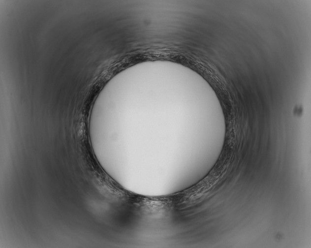 X0000099560706200806061540