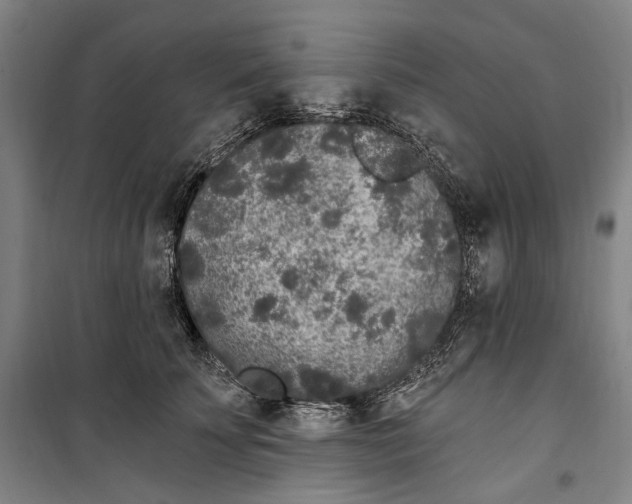 X0000099560707200806061540