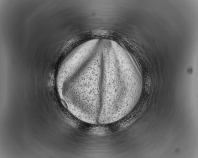 X0000099560708200806061540