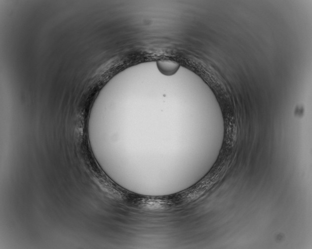 X0000099560710200806061540