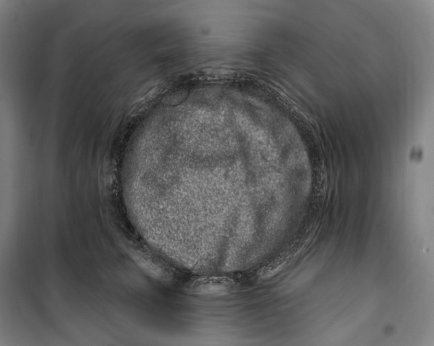 X0000099560711200806061540