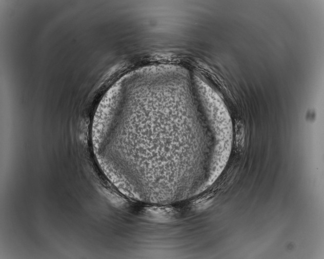 X0000099560712200806061540