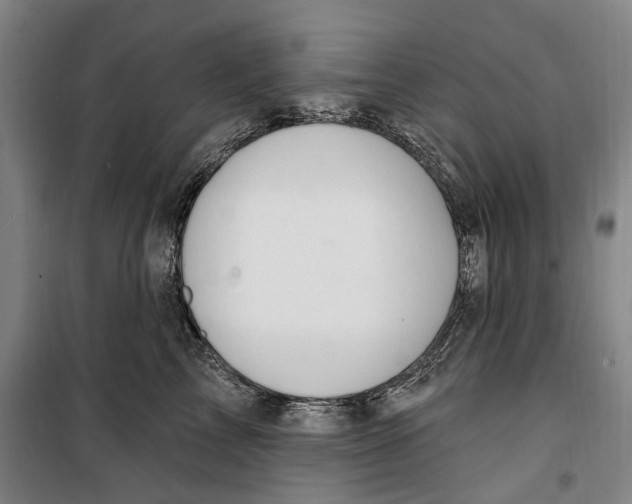 X0000099560713200806061540