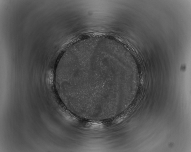 X0000099560715200806061540