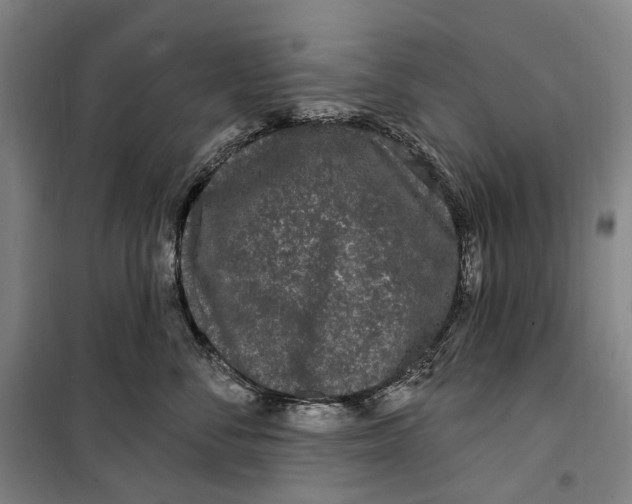 X0000099560716200806061540