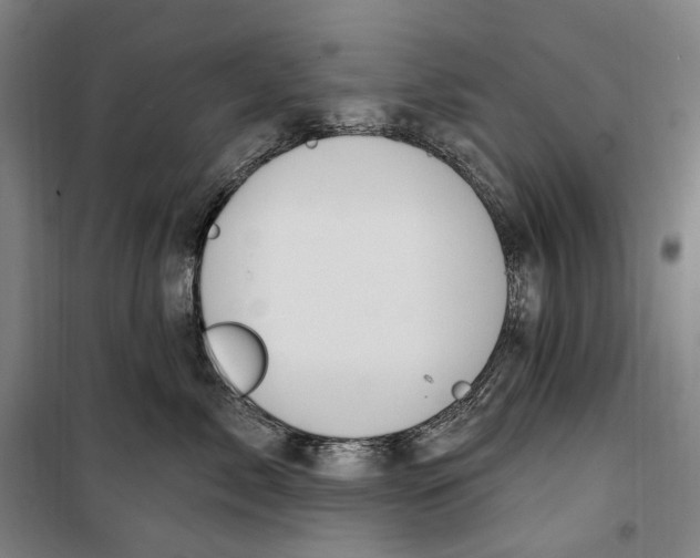 X0000099560717200806061540