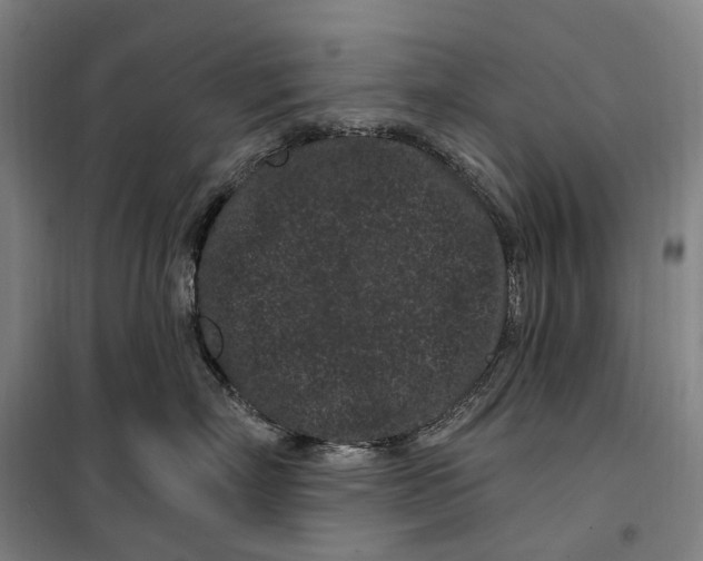 X0000099560718200806061539