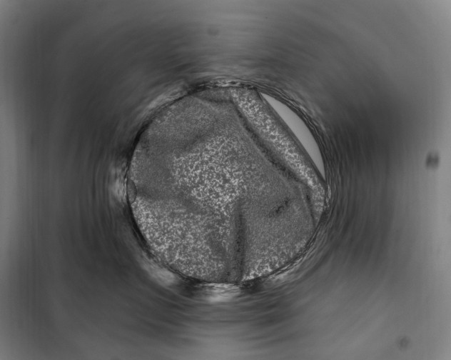 X0000099560719200806061539