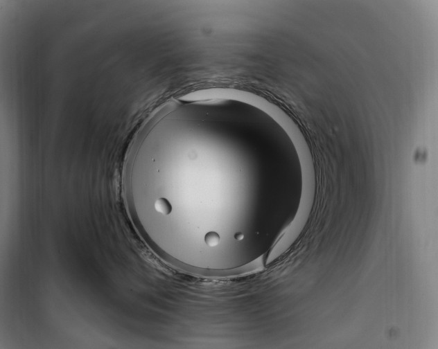 X0000099560720200806061539