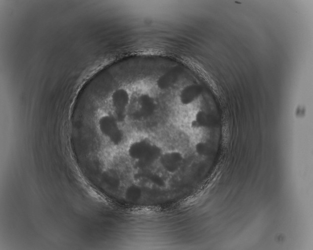 X0000099560721200806061539