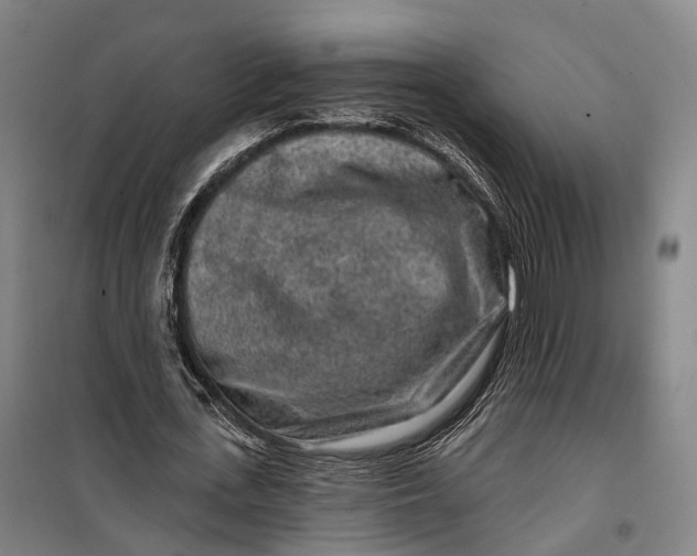 X0000099560723200806061539