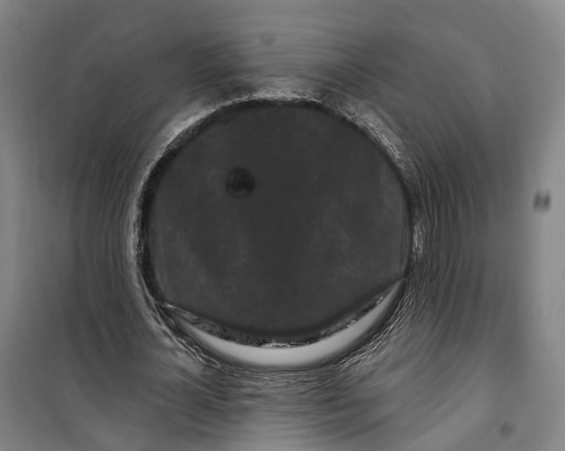 X0000099560724200806061539