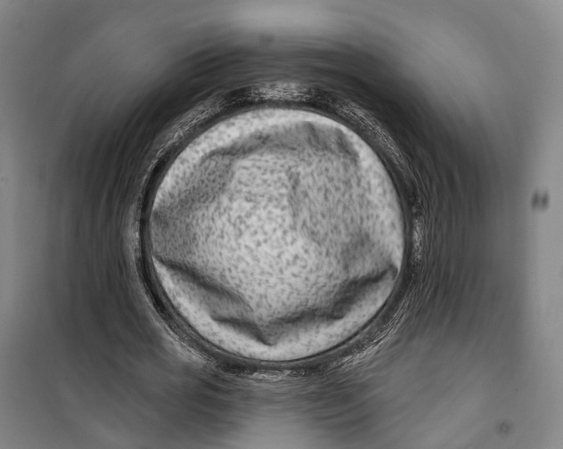 X0000099560725200806061539