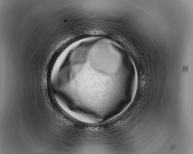 X0000099560727200806061539