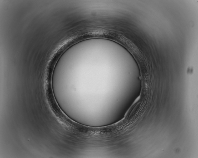 X0000099560728200806061539