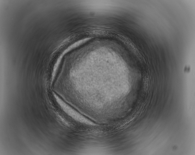 X0000099560729200806061539