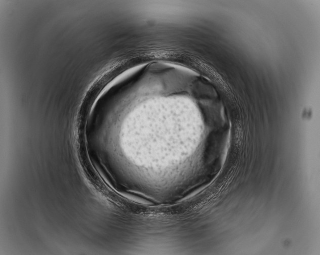 X0000099560730200806061539