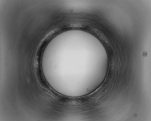 X0000099560731200806061539