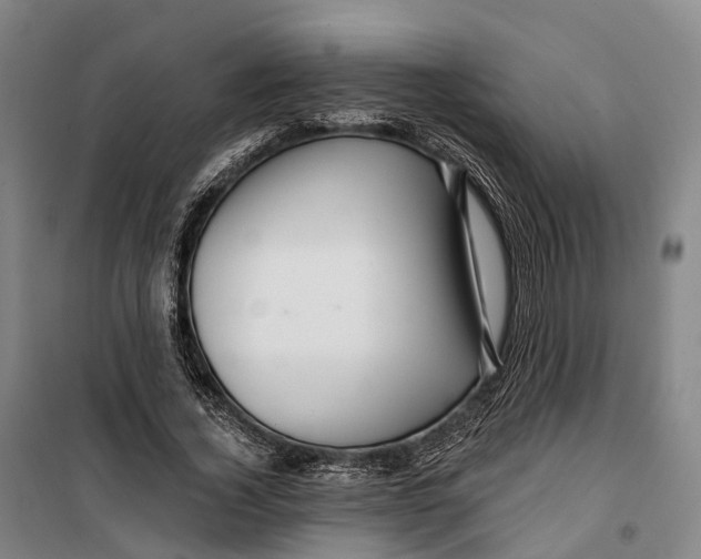 X0000099560732200806061539