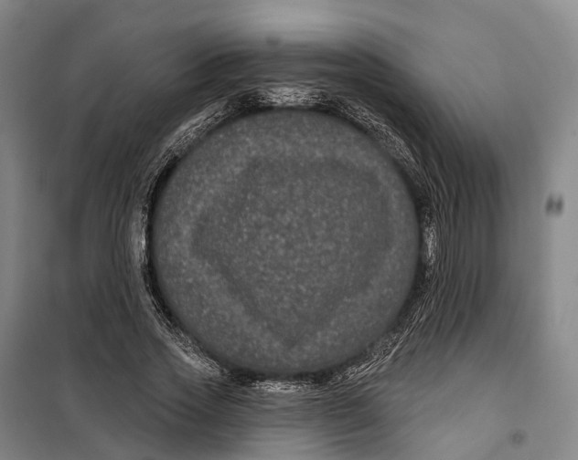 X0000099560733200806061539