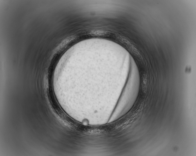 X0000099560734200806061539