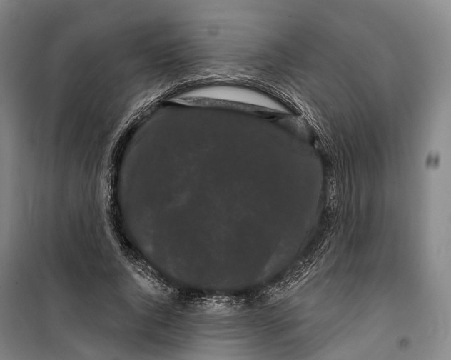 X0000099560736200806061539