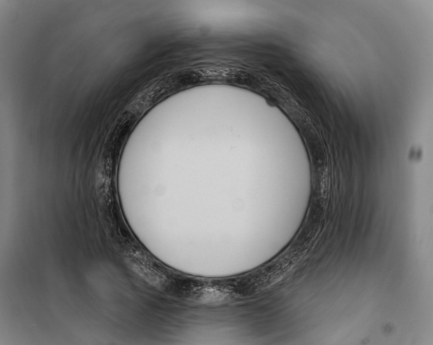 X0000099560737200806061539