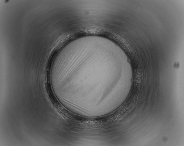 X0000099560738200806061539