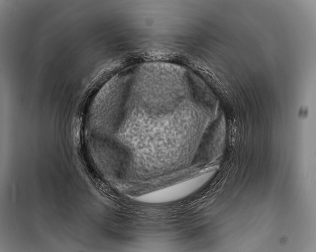 X0000099560742200806061539