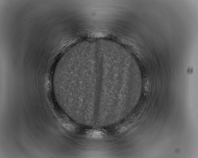 X0000099560743200806061539