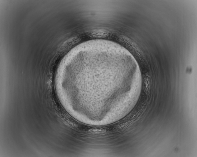 X0000099560745200806061539