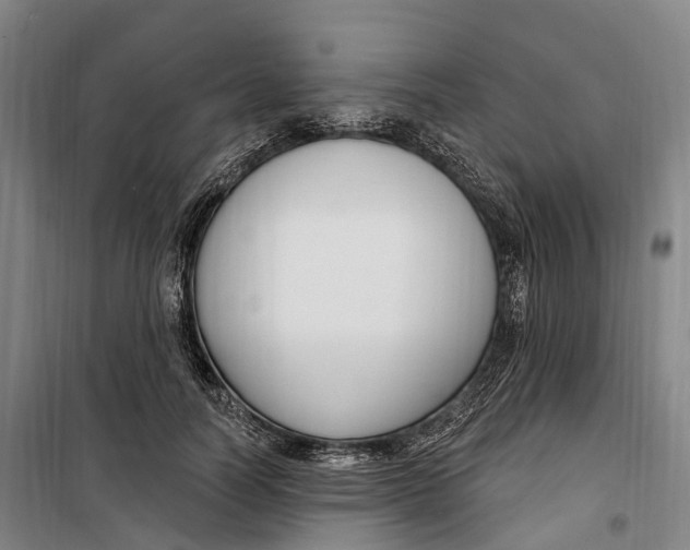 X0000099560746200806061539