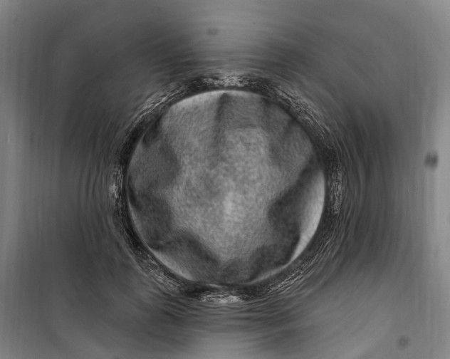 X0000099560747200806061539