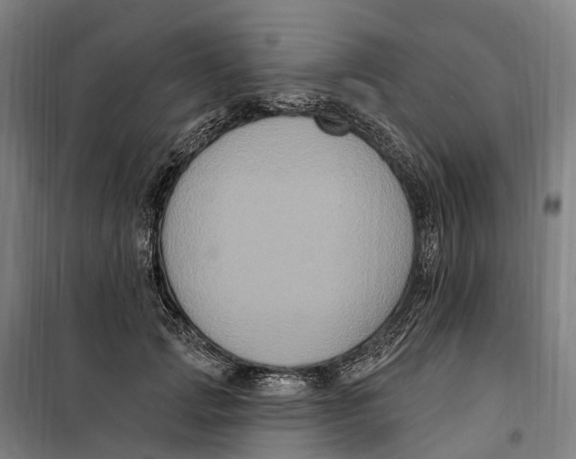 X0000099560749200806061539