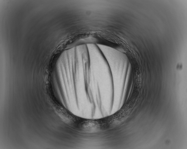 X0000099560750200806061539