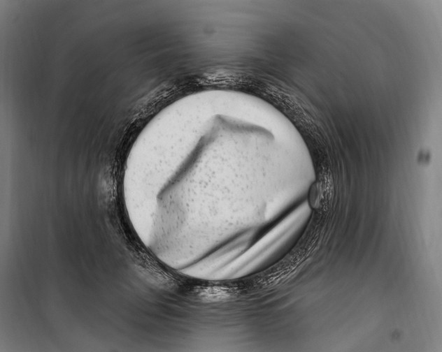 X0000099560751200806061539