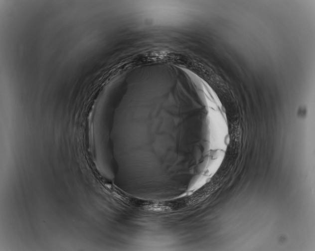 X0000099560754200806061539