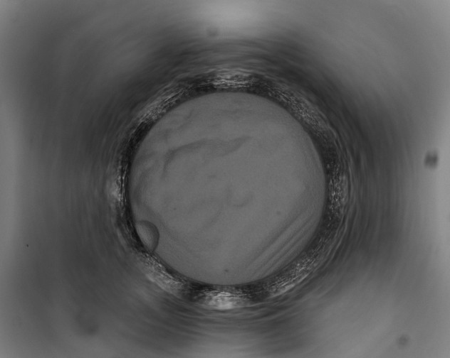 X0000099560755200806061539