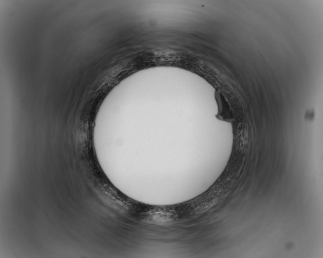 X0000099560756200806061539