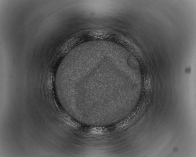 X0000099560757200806061539