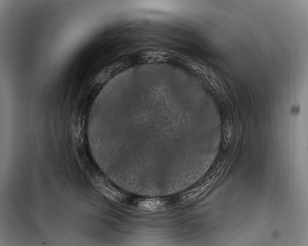 X0000099560759200806061539