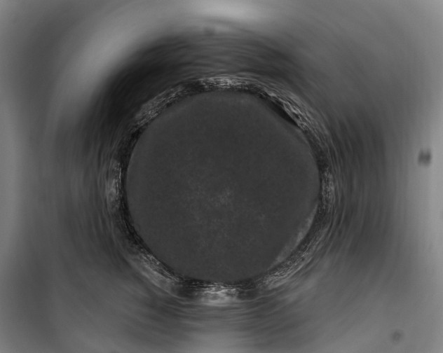 X0000099560760200806061539