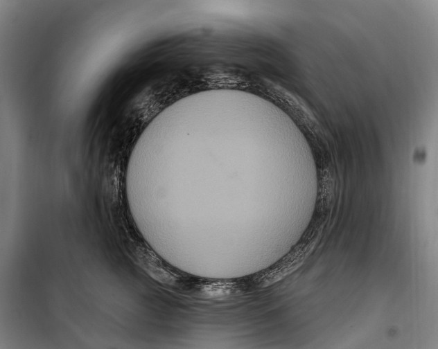 X0000099560761200806061539