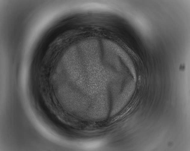 X0000099560765200806061539