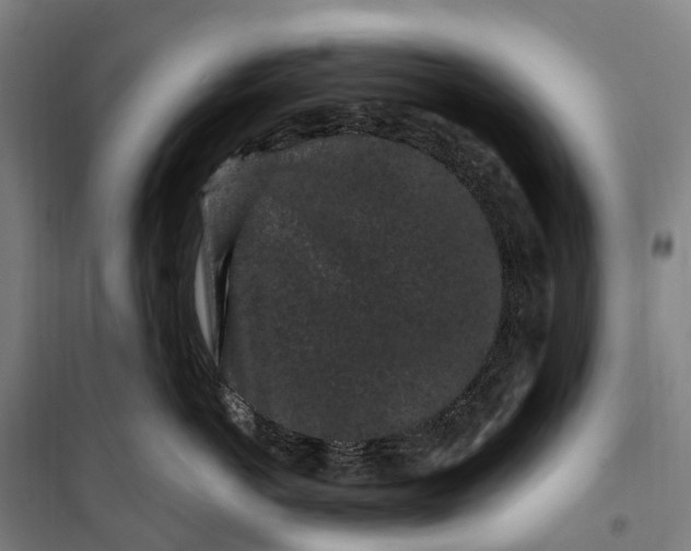 X0000099560766200806061539